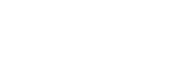 gamzix